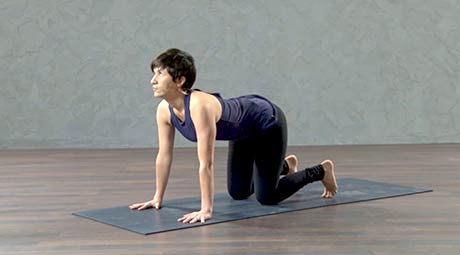 Beginner Power Yoga 2 - Alignment - Online Beginner Yoga Class with Jackie  Casal Mahrou