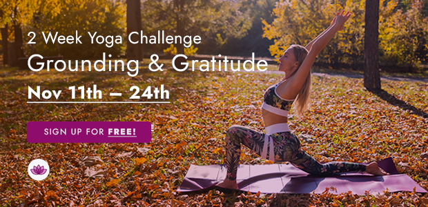 Grounding and Gratitude Challenge