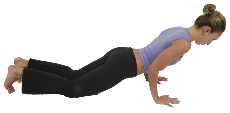 Shwetyoga - Chaturanga Dandasana or Four-Limbed Staff Pose, also known as  Low Plank, is an asana in modern yoga as exercise and in some forms of  Surya Namaskar, in which a straight